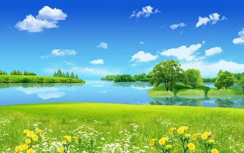智能化节能全自动